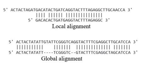 Fasta format and Sequence comparison - BioChemiThon