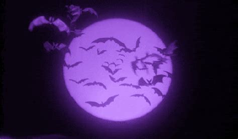 Halloween GIF - Find & Share on GIPHY | Halloween gif, Halloween ...