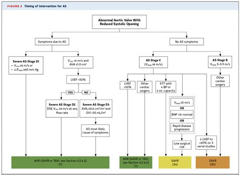 Aortic Stenosis – Cardio Guide