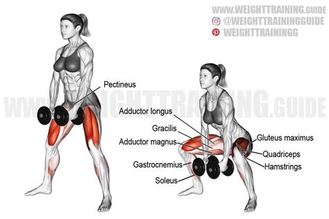 Dumbbell sumo squat (version 2) exercise instructions and video | Lower ...