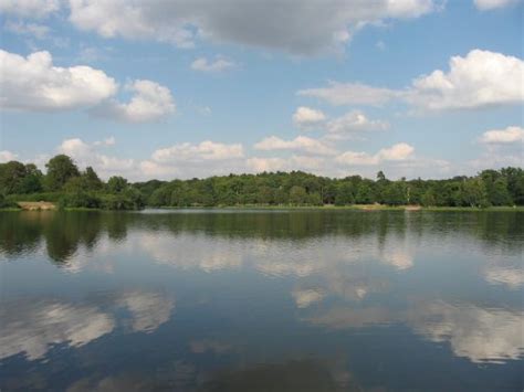 "Virginia Water Lake, Virginia Water, Surrey, August 2004" by Ingrid ...