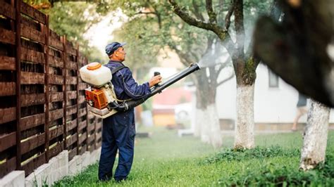 New study finds harmful pesticides lurking in NY homes | Cornell Chronicle