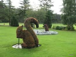 funny topiary pics - Google Search | Topiary, Garden art, Garden