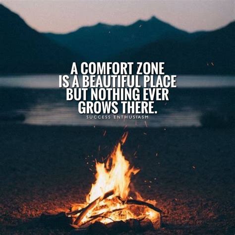 "A Comfort Zone Is a Beautiful Place, But Nothing Ever Grows There ...