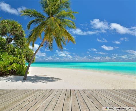 Tropical Beach Scenes Wallpaper - WallpaperSafari