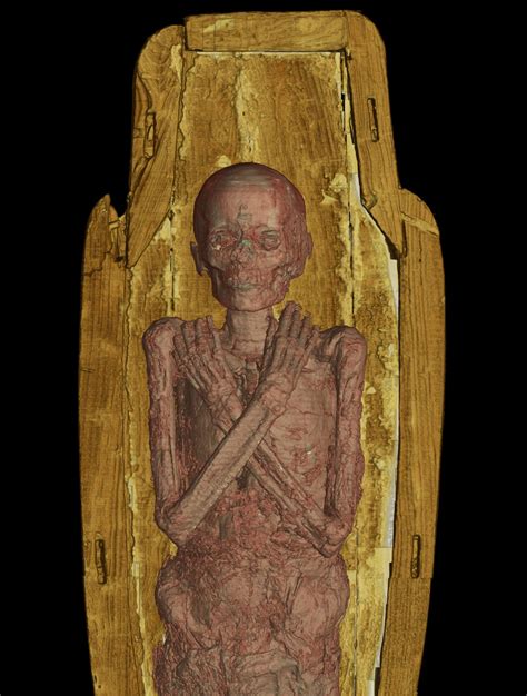 Ancient mummy exhibit at Natural History Museum shows what's inside ...