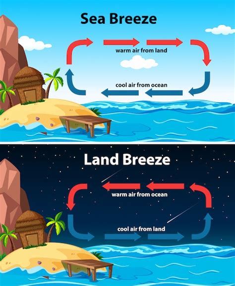 Free Vector | Diagram showing sea and land breeze