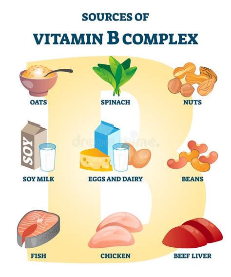 Source of Vitamin B Complex with Labeled Healthy Food Nutrient Example ...