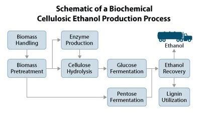 Ethanol from Lignocellulosic Biomass