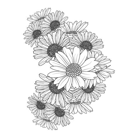 Daisy Flower Drawing Tattoo