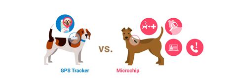 Dog Tracker Chip: What Are Dog Microchips vs GPS Trackers? - We Are The Pet