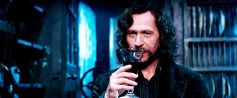 Sirius Black - Harry Potter Photo (30733374) - Fanpop