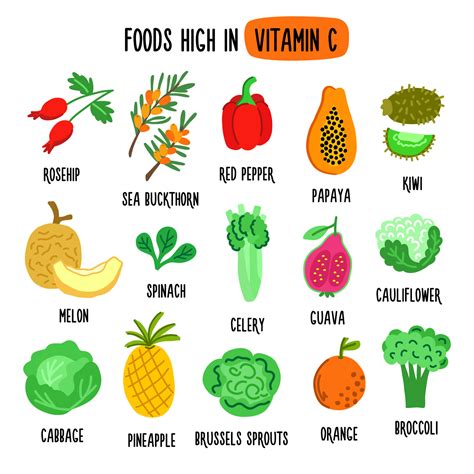 Flat vector illustration depicting foods high in vitamin C. Source of ...