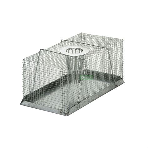 AgBoss Live Multi-Catch Mouse / Rat Trap Large | Shop Online Now at ...