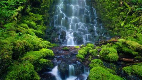 Rainforest Waterfall Wallpapers - Wallpaper Cave