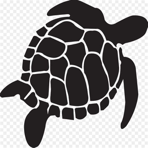 Sea turtle Clip art - Vector turtle material png download - 4213*1900 ...