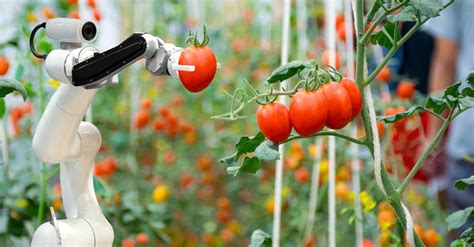 Agricultural Robots: Are We Ushering the Age of Robot Farmers?