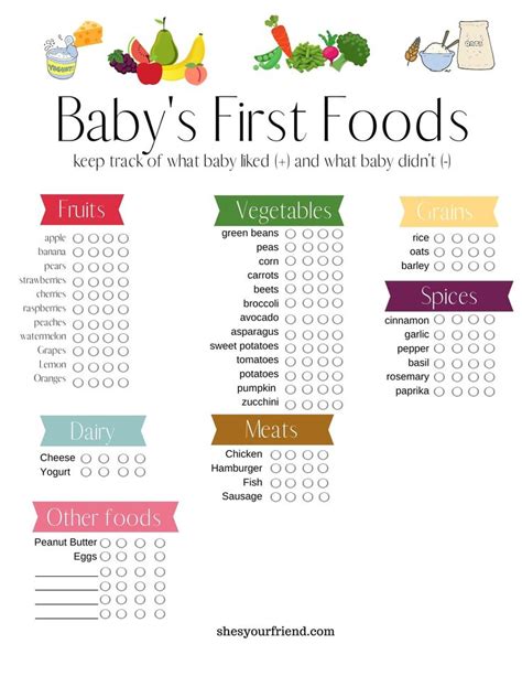 Introducing Baby Food: The Basics | Introducing baby food, Baby first ...