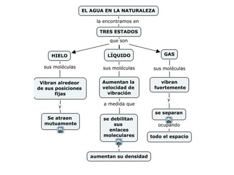 Cuadro Sinóptico - Qué es, para qué sirve, tipos y ejemplos