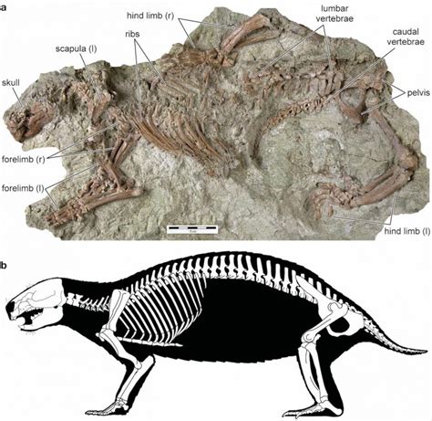 “Crazy Beast” – Bizarre 66 Million-Year-Old Fossil From the Time of ...