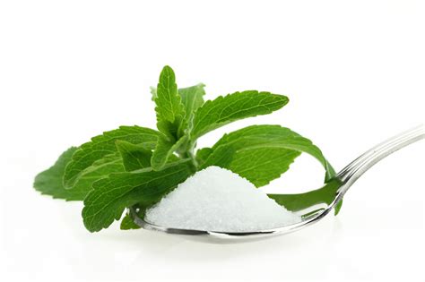 Stevia Facts, Health Benefits and Nutritional Value