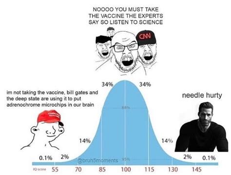 haha ouch | IQ Bell Curve / Midwit | Know Your Meme