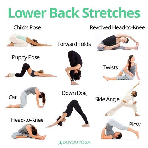 Lower back yoga stretches | Estiramientos de yoga, Ejercicios ...