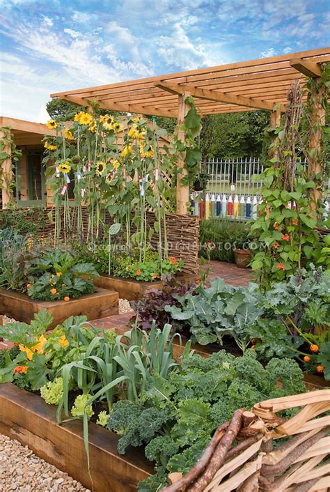 Vegetable Garden in beautiful backyard with blue sky and flowers ...