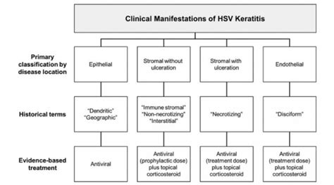 Hsv Dendritic Keratitis Rose Bengal