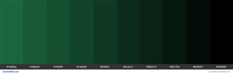 Shades Metro UI Color Dark Green #1e7145 hex | Green colour palette ...