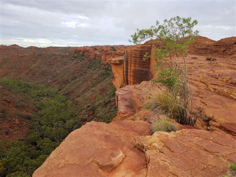 Kings Canyon Rim Walk – SPECTACULAR! | Make It What You Want