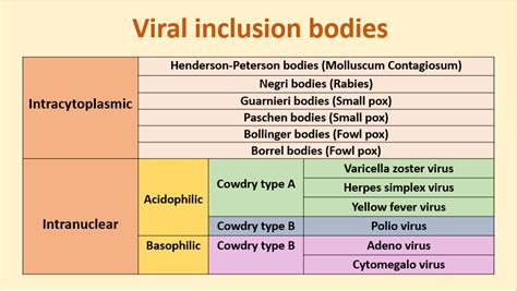 Inclusion bodies | Veterinary Science Hub