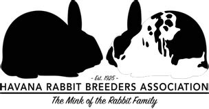 Havana Rabbit Breeders Association - Home