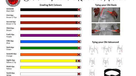 Shotokan Karate Belt Levels - Karate Choices