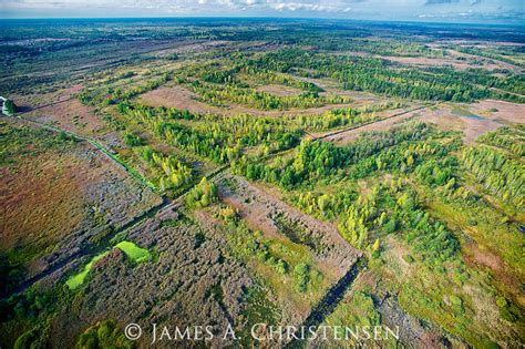 Pripyat Marshes Appreciation Thread