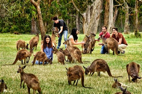 Gorge Wildlife Park - Aus Weekend Escapes