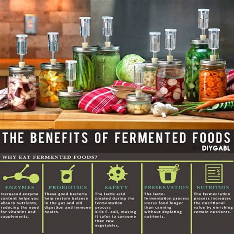 HEALTH BENEFITS OF FERMENTED FOODS AND HOW TO... - DIY Gardening ...