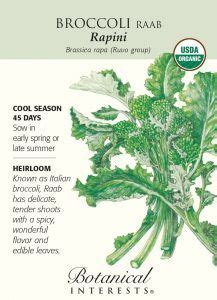 Broccoli Rabe: Health Benefits, Nutrition Facts, Fun Facts, History and ...