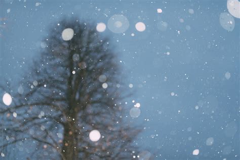 "Snow Falling At Night" by Stocksy Contributor "Chelsea Victoria" - Stocksy