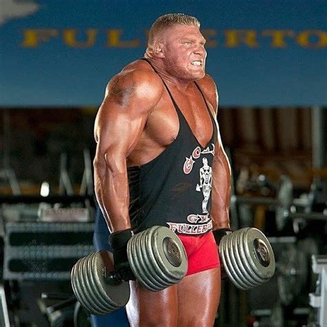 Brock Lesnar Diet and Training Program ~ healthtasy.com