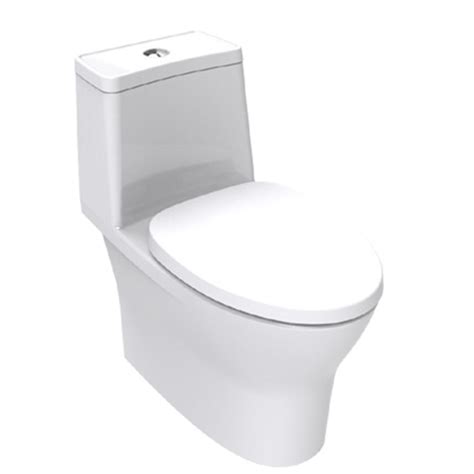 Flexio One-piece Toilet | American Standard India