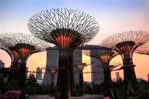 Supertrees of Singapore | TIME.com