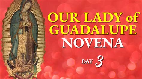 Our Lady of Guadalupe Novena Day 3 - Holy Rosary Today