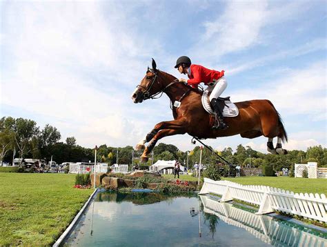 7 Popular Horse Show Jumps