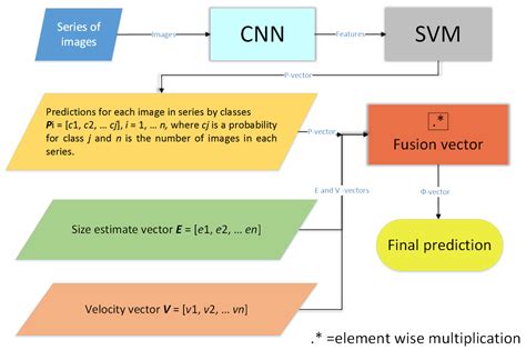 deep learning case study for automatic bird identification