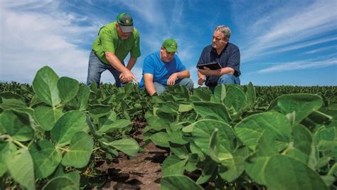 How Agronomic Practices Improve Crop Production | MachineFinder