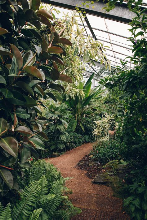 The University of Dundee Botanic Garden — Haarkon Adventures