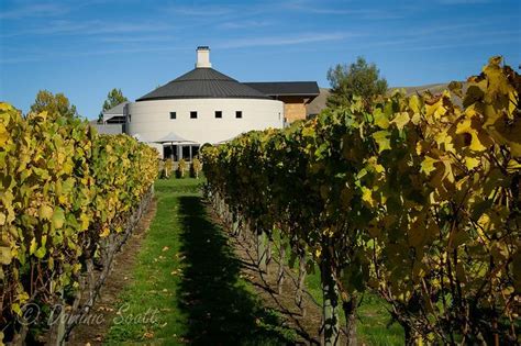 Craggy Range Winery - Hawkes Bay New Zealand | New zealand, Most ...