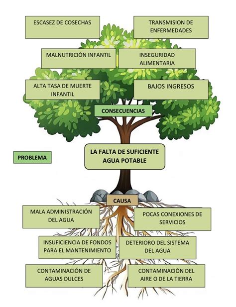 Árbol de problemas | Herbs