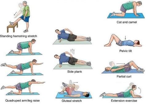 Slipped Disc Exercises | Home Remedies | Treatment at Home